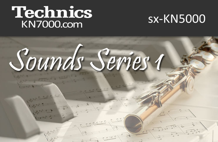 TECHNICS_KEYBOARD_SOUND_SERIES_1_KN5000.jpg